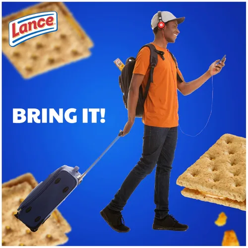Vista 6 de Lance Hecho con galletas sándwich de queso cheddar de grano entero, 8 unidades de 1.5 onzas