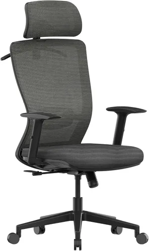 Vista 15 de FLEXISPOT Silla de oficina ergonómica, sillas de escritorio de oficina en casa con soporte lumbar ajustable, reposabrazos, bloqueo de inclinación