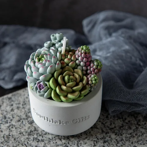 Vista 8 de Surtido suculento olla perfumada vela de cera vegetal para spa decoración del hogar regalo de boda