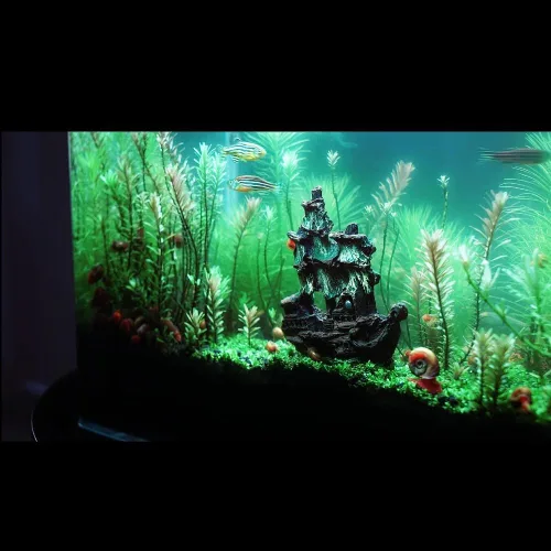 Vista 2 de Decoración de acuario adorno pequeño velero barco pirata vidrio pecera decoración refugio de peces decoración agua dulce agua salada decoración