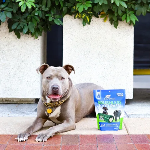Vista 5 de Ark Naturals Pasta Dental sin Cepillo, Masticables Dentales para Perros de Razas Extra Grandes, Refresca el Aliento, Textura Única Ayuda a Reducir