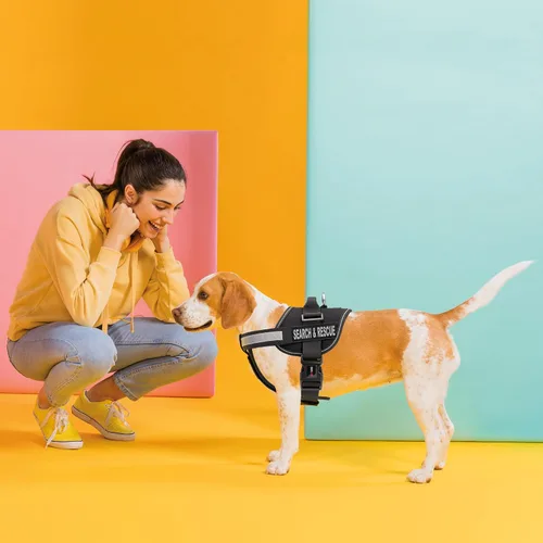 Vista 6 de Dogline Unimax - Arnés multiusos para perros y 2 parches extraíbles de búsqueda y rescate, pequeño, color negro