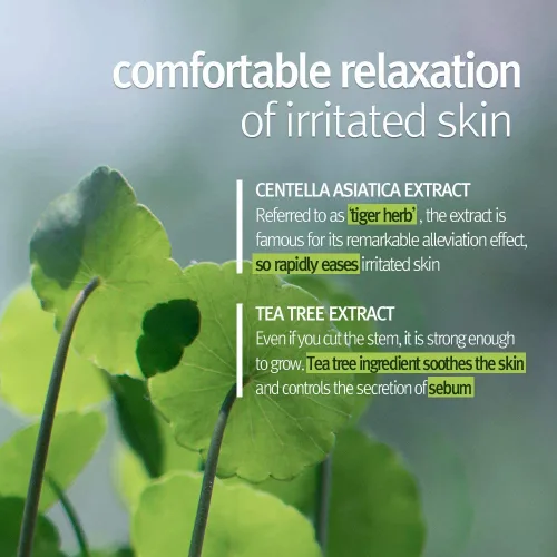 Vista 4 de Pyunkang Yul PKY - Gel pelador con efecto visible inmediato, exfoliante facial suave y suave con papaya y AHA, cero irritación, cuidado de la piel