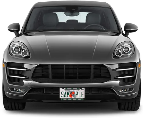 Vista 4 de Fastasticdeals Marco de metal para placa de matrícula Bella Terra Tree resistente a la intemperie, accesorios para coche, color negro, 2 agujeros