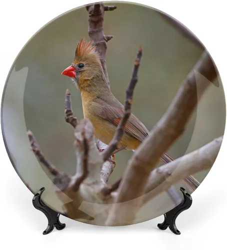 Vista 8 de Plato decorativo de animales silvestres de África para cocina, recuerdo de cerámica para colgar en la pared con soporte de exhibición, decoración