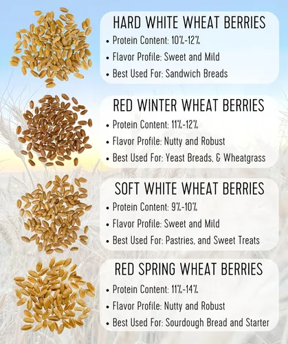 Vista 8 de Marca Palouse Certificada Libre de Residuos de Glifosato Grano de Trigo Duro Blanco 15 Libras Paquete de 3 Cultivado por una Familia