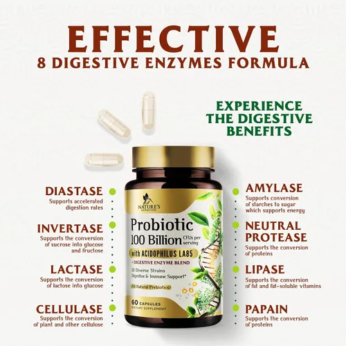 Vista 6 de Probióticos premium – 100 mil millones de UFC por porción – 10 cepas + prebióticos – El mejor suplemento para la salud intestinal para mujeres