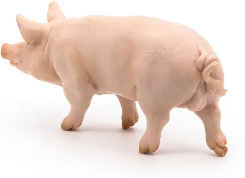 Vista 10 de Papo - Figura realista de jabalí - A partir de 3 años - Colección Farm Life - Juego educativo de animales de granja - Juguete de idea de regalo