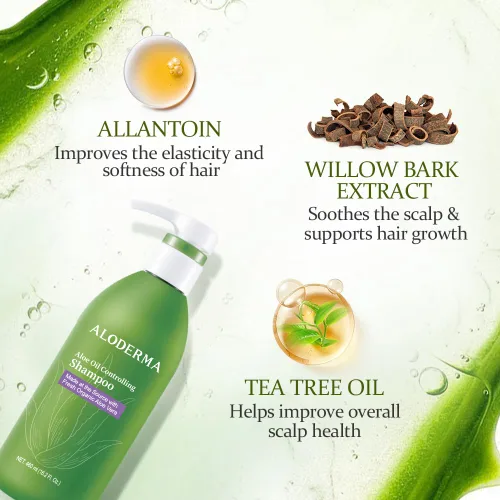 Vista 2 de Aloderma Set de cuidado del cabello de aloe vera: champú que controla el aceite, acondicionador nutritivo para el cabello