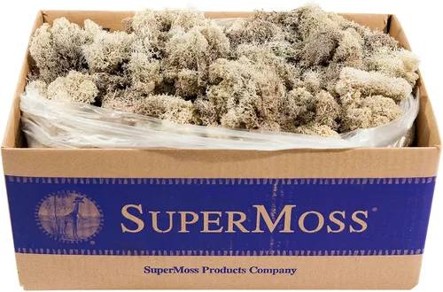 Vista 38 de Super Moss (23164) Musgo de reno preservado, fucsia, 2 onzas Musgo preservado suave, decoración del hogar, manualidades y terrarios, diseño