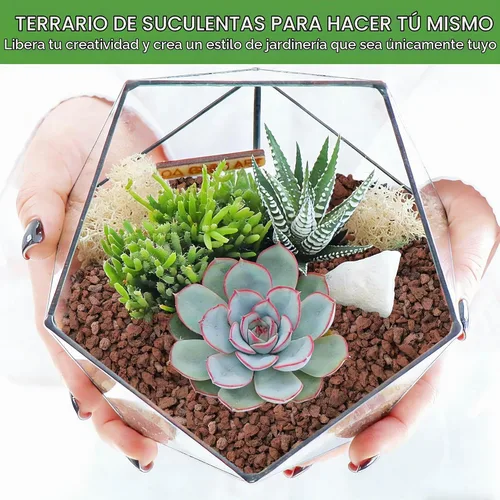 Vista 5 de NUPICK Rocas de lava roja de 3 libras para plantas, enmiendas de suelo para Rojo