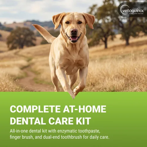 Vista 2 de Vetoquinol Enzadent - Kit de pasta de dientes enzimática + cepillo de dedos y cepillo de dientes de doble extremo para gatos y perros, 3.2 onzas