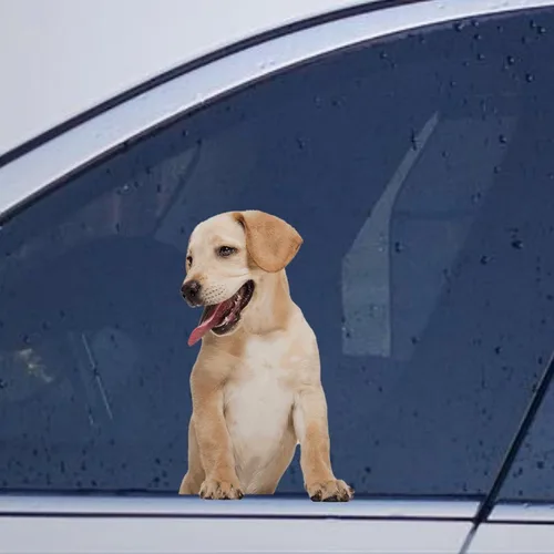 Vista 29 de Calcomanías de perro caniche, divertidas calcomanías de vinilo troqueladas para automóvil, laptop, parachoques Estilo-37