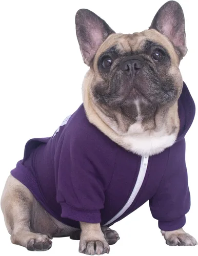 Vista 21 de iChoue - Disfraces para perros, I am a French Bulldog, suéteres divertidos, abrigos de invierno, sudaderas con capucha, Frenchie Pitbull Corgi, Pug