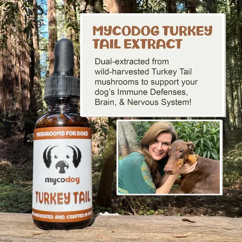 Vista 2 de MycoDog Hongo de cola de pavo para perros - Gotas diarias de bienestar