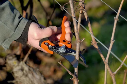 Vista 3 de Bahco BAHPX-S2 ERGO Tijeras de podar pequeñas de derivación, 7 pulgadas de largo, mango de agarre suave fijo recubierto de elastómero, capacidad