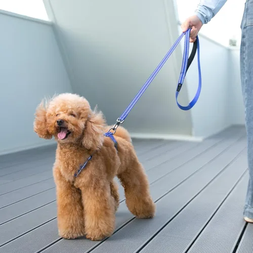 Vista 6 de EXCELLENT ELITE SPANKER Arnés sin tirones para perro, chaleco de nailon reflectante en forma de L, ajustable y fácil para mascotas, para razas Negro