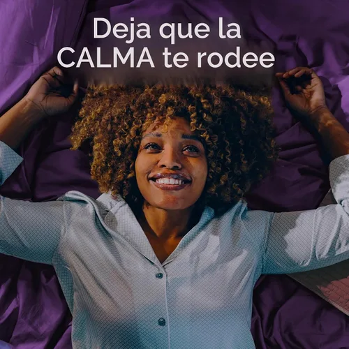 Vista 7 de Downy CALM - Hojas para secadora mega, suavizante para lavar la ropa, lavanda y vainilla, 180