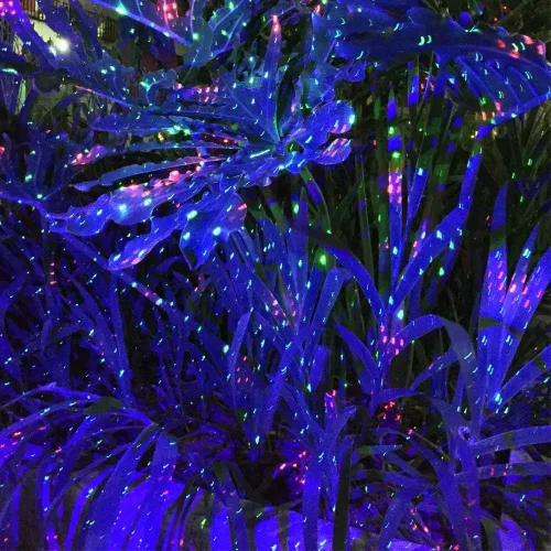 Vista 3 de LedMall láser con luces rojas y verdes y led azul con control remoto y luces de Navidad, para jardín y paisaje