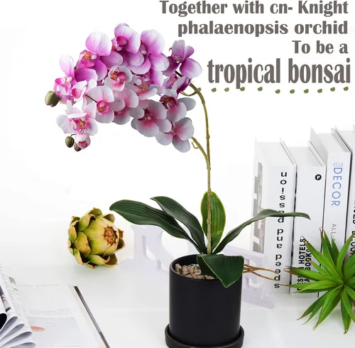 Vista 4 de Hoja artificial de orquídea Phalaenopsis, 5 hojas de orquídea de látex en tallo con raíces, hojas sintéticas para orquídea polilla artificial