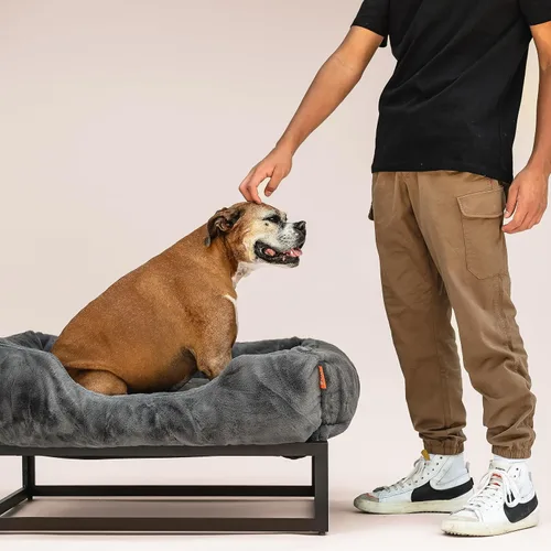Vista 2 de FUZI Cama elevada para perro, camas elevadas de lujo para perros, funda extraíble y lavable a máquina, cama ortopédica para mascotas para interiores