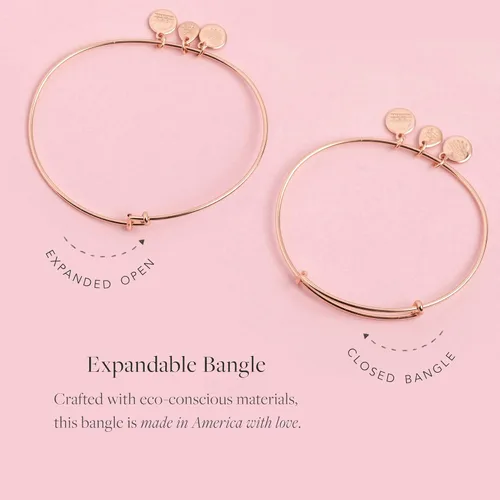 Vista 3 de Alex and ANI Brazalete extensible con piedras natales para mujer, dije de cristal de amatista del mes de febrero, acabado dorado brillante, 2 a 3.5