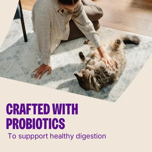 Vista 4 de Wellness Kittles - Snacks crujientes naturales sin granos para gatos, pollo y cranberry, bolsa de 2 onzas