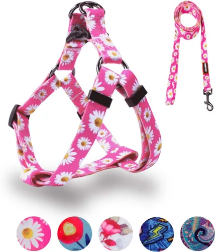 Vista 9 de QQPETS Juego de correa de arnés para perro, ajustable, resistente, sin tirones, arnés halter para perros de razas pequeñas, medianas y grandes, clip