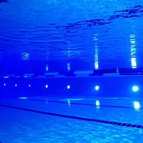 Vista 6 de Luces LED impermeables para piscina, 3 W, luz subacuática regulable, funciona a 12 V-24 V CC, 12 VAC, 4 paquetes de luces de bajo voltaje IP68