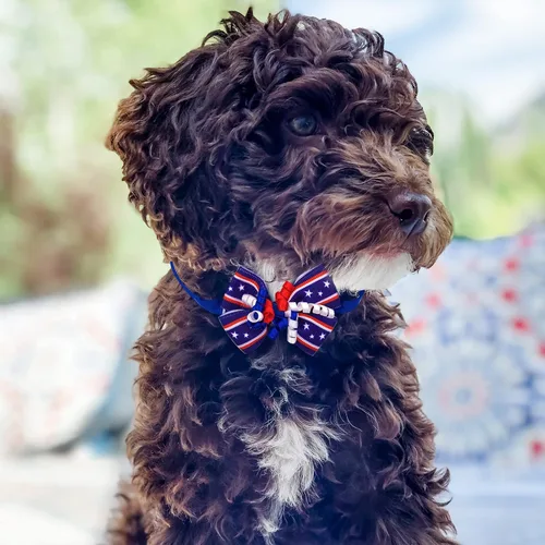 Vista 4 de 24 corbatines para perro del 4 de julio, pajarita para mascotas del Día de la Independencia, collar de rayas de estrellas ajustable, pajarita