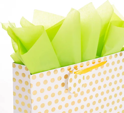 Vista 6 de Bobobag Paquete de 4 bolsas de regalo extragrandes de 16.5 pulgadas con papel de seda para el día de la madre, regalos de cumpleaños
