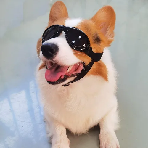 Vista 7 de Gafas de sol para perros pequeños, protección UV, resistentes al viento, gafas de sol para mascotas pequeñas para protección de los ojos