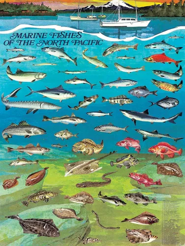 Vista 2 de New York Puzzle Company - Vintage Images Fishes of the North Pacific - Rompecabezas de 1000 piezas para noches de juego familiares