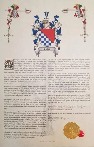 Vista 3 de Mr Sweets Babero Coat of Arms, Crest & History 11x17 Print - Name Meaning, Genealogy, Family Tree Aid, Ancestry, Ancestors, Namesakes - Surname