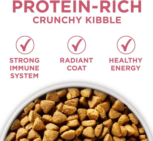 Vista 7 de Purina ONE Alimento seco natural para perros con estómago sensible, fórmula +Plus para piel y pelaje, bolsa de 16.5 libras