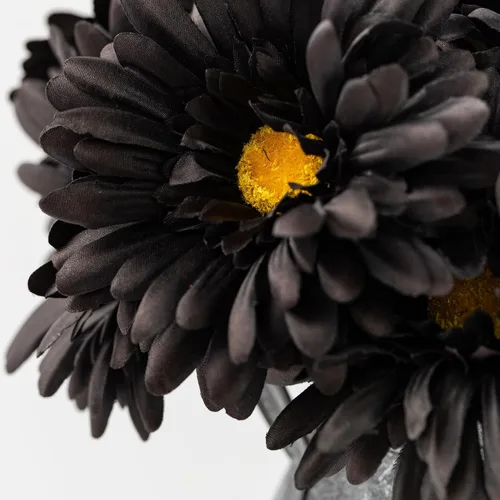 Vista 6 de TOPIA Margaritas africanas artificiales, margaritas africanas, flores de seda, gerberas artificiales, paquete de 10 unidades (negro)