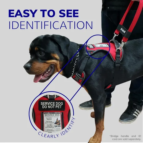 Vista 6 de ActiveDogs - Arnés para perro de servicio, ajustable, sin tirones, para perros pequeños, con parche para perro de servicio, asa, ventana