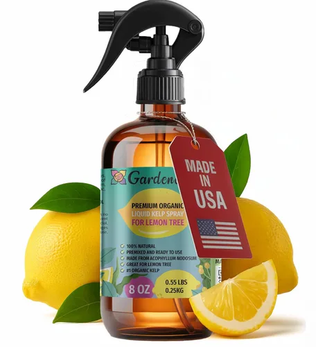 Vista 16 de GARDENERA Spray orgánico profesional de algas marinas para plantas AGLAONEMA – 8 oz – Rocío fertilizante de algas marinas y algas marinas totalmente