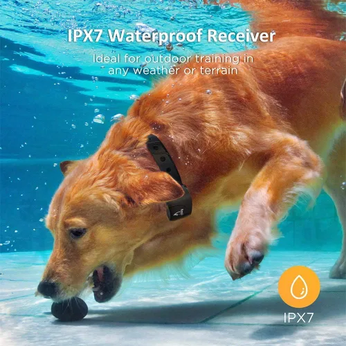 Vista 4 de PATPET Collar de entrenamiento para perros grandes – IPX7 impermeable E collar para perros con pitido, vibración y modos estáticos