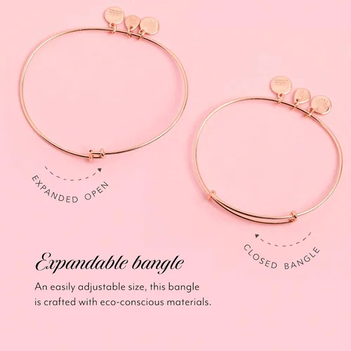 Vista 2 de Alex and Ani Pulsera de infusión de color Soul Sisters