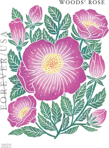 Vista 2 de Sellos postales Mountain Flora Flower US First Class Forever - Celebran la belleza, perfectos para bodas (1 bobina/rollo de 100)