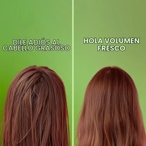 Vista 6 de ANYELUZ Champú capilar de aloe vera, limpiador de cuero cabelludo de limpieza profunda, fórmula de fortalecimiento de biotina, control de grasa