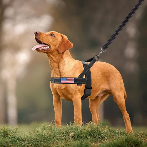 Vista 6 de Annchwool Arnés sin tirones para perro, con mango acolchado suave, tira reflectante a prueba de fugas y ajuste rápido para ajustar el arnés del Negro