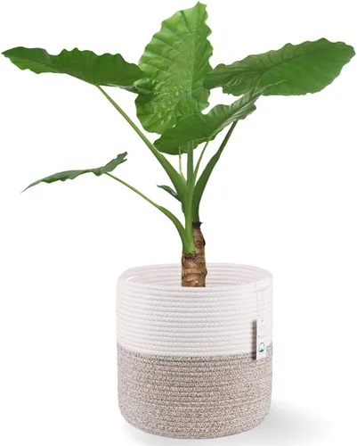 Vista 15 de Cesta de Planta de Cuerda de Algodón Cesta Tejida Moderna para Maceta de Flores de 6" Macetas de Interior de Piso, Organizador de Almacenamiento