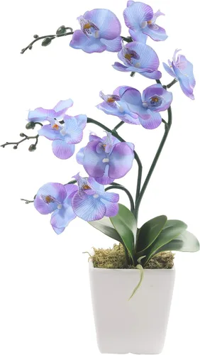 Vista 11 de Arreglos de macetas de plantas de flores de orquídea Phalaenopsis de seda artificial de 15 pulgadas de alto (verde manzana)