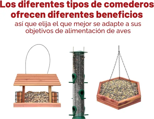 Vista 5 de Kaytee Wild Bird Mezcla de Alimento para Pinzones, 3 lb