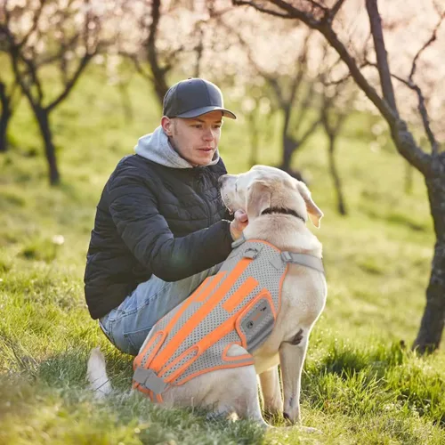 Vista 6 de Soporte de espalda para perro para artritis, soporte de cadera para perro para IVDD, arnés de soporte de marco para espalda, mantiene la espalda