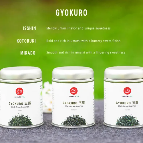 Vista 4 de Senbird Gyokuro Premium - Té verde japonés cultivado en sombra - de Kioto Japón - Té verde imperial de hojas sueltas en lata de té hermético