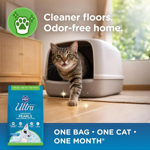 Vista 4 de Ultra Pearls Arena Premium para Gatos - 99.9% Libre de Polvo, Bajo Rastreo, Suave en las Patas, Sin Fragancia - 15 Libras Total