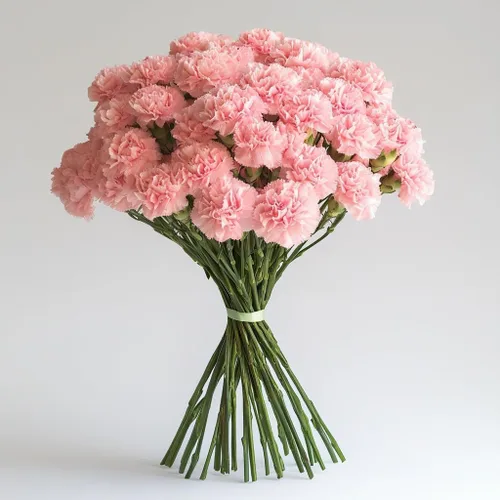 Vista 9 de GlobalRose 100 flores de clavel rosa – Claveles de flores frescas de origen responsable – Ramo fresco seleccionado a mano para graduación